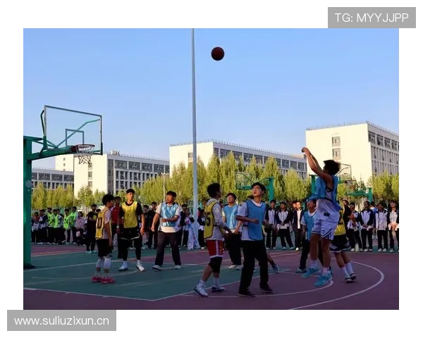 篮球比赛中争议球处理规则的具体判定标准与流程解读